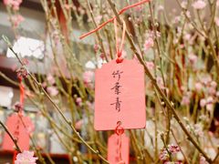 -华联发展销售中心(十月初五街店)