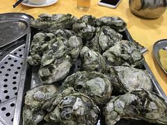-蚝专家(北滘店)