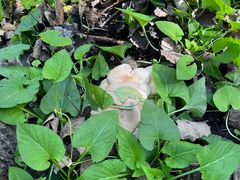 -长春公园(普阳街道)