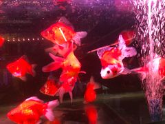 -三旗百汇商品城