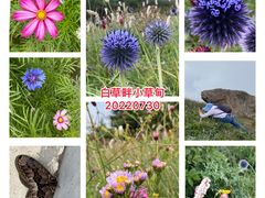 -白草畔自然风景区