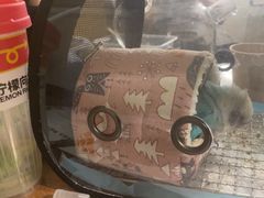 -剧狐剧本杀·月球探案馆(人民广场1号店)