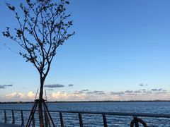 -滴水湖