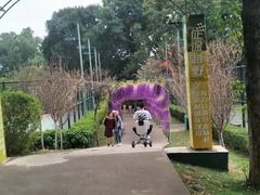 -观澜湖生态运动公社