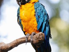 -北京野生动物园