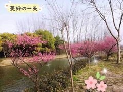 -嘉北郊野公园