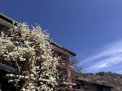 -北京水岸山吧度假村(雁栖镇店)