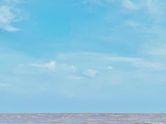 -南汇新城海滩