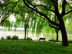 -杭州西湖柳莺里酒店·闻莺厅