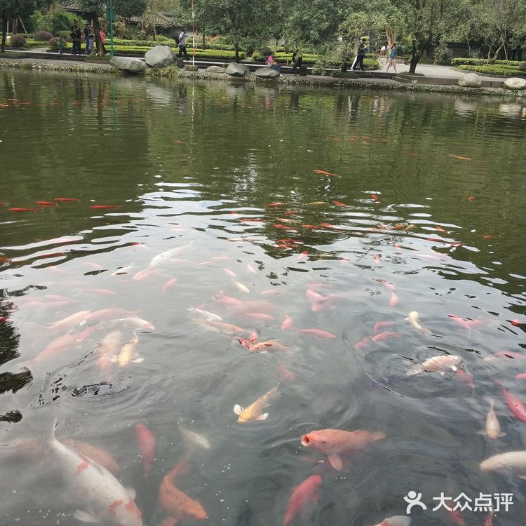 成都周边游攻略｜都江堰景区拍照指南