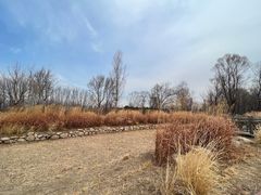 -野鸭湖国家湿地公园