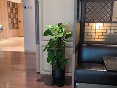 -五缘湾凯悦酒店·悦饗中餐厅