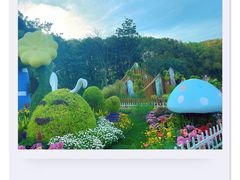 -上海共青森林公园