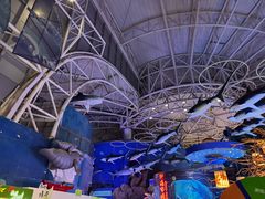 -烟台海昌鲸鲨海洋公园