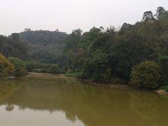 -南国桃园旅游度假区