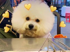 -美联众合24小时·皮肤科·外科·全科诊疗中心(华苑分院)