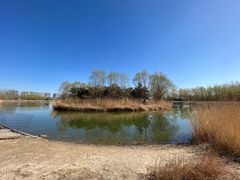 -大兴滨河森林公园