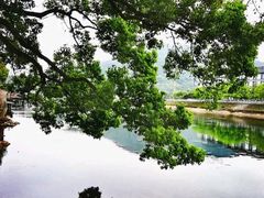 -溪口-滕头旅游景区