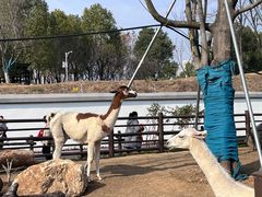 -武汉动物园