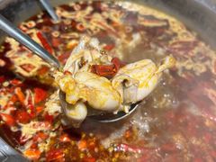 美蛙-销魂美蛙鱼头火锅(上海首店)