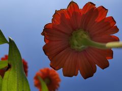 -山明水秀大饭店