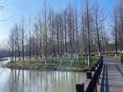 -九科绿洲