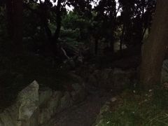 -叶家花园