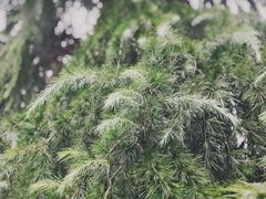 -杭州城北体育公园