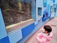 -陕西自然博物馆