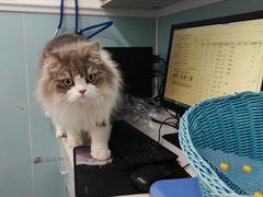 -纳吉亚猫专科动物医院·北北分院