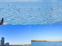 -巧克力渔家.小船海鲜胶东菜(万平口店)