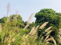 -长门炮台