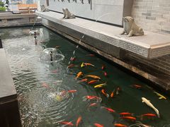 -成都中升之星奔驰4S店