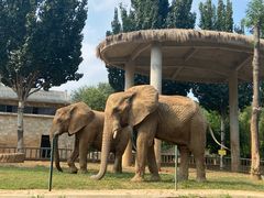 -石家庄市动物园