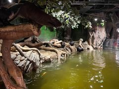 -正佳雨林生态植物园
