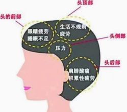 -诗碧曼·头疗养发馆