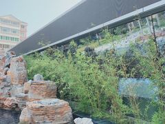 -首都医科大学附属北京潞河医院