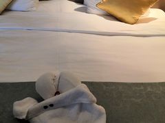 -常州环球恐龙城维景国际大酒店