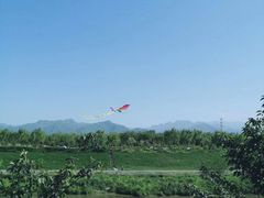 -洨河生态公园