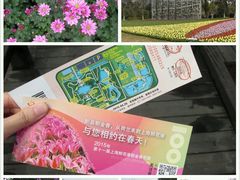 android_upload_pic-上海鲜花港