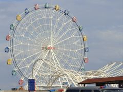 -奉贤海滩