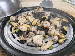 清远鸡-渔文乐农庄