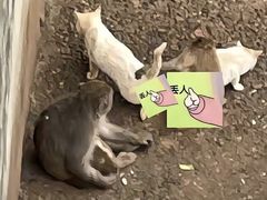 -昆明动物园