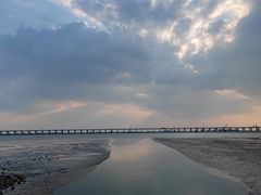 -宝安西湾红树林湿地公园