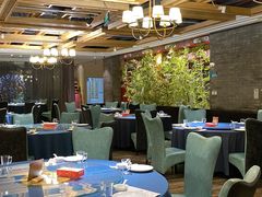 -金狮麟·新豫菜(金码大厦店)