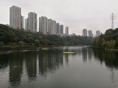 -重庆彩云湖湿地公园