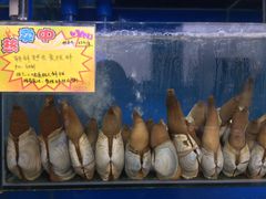 -蚝专家(北滘店)