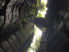 -梦幻奥陶纪景区