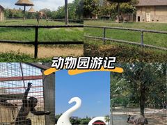 -南昌动物园