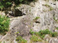 -黄贤山庄
